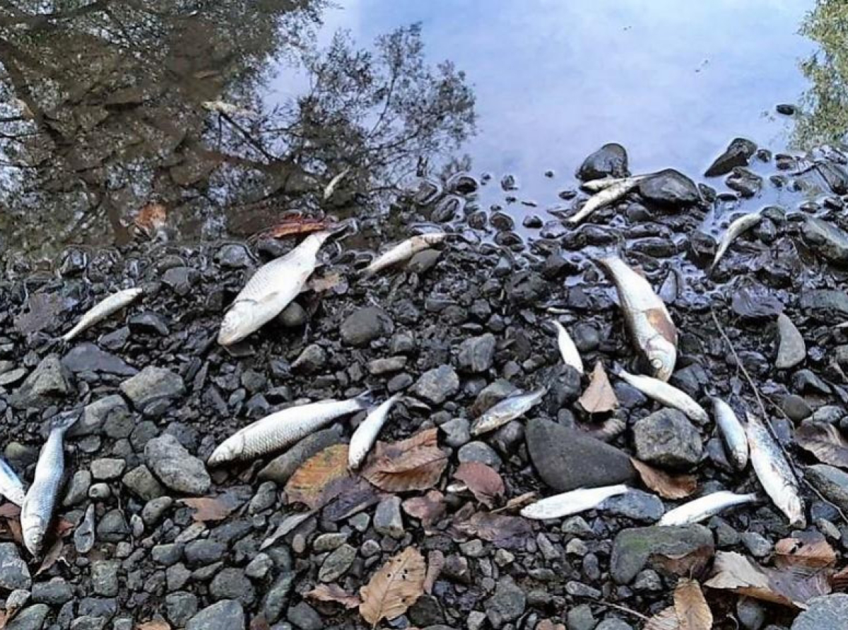 ARCELORMITTAL NAD BOSNOM: Aktivisti prijavljuju zagađenje, nadležni samo registruju