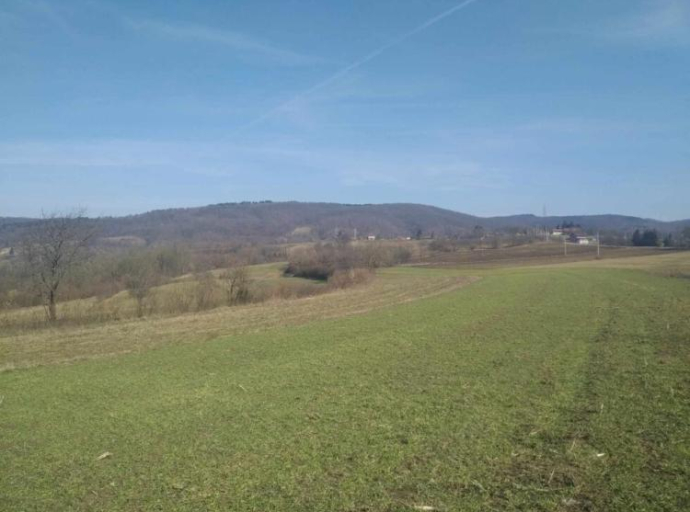 Zaustaviti zvanično odobrenje geoloških istraživanja na Bukovoj Kosi!