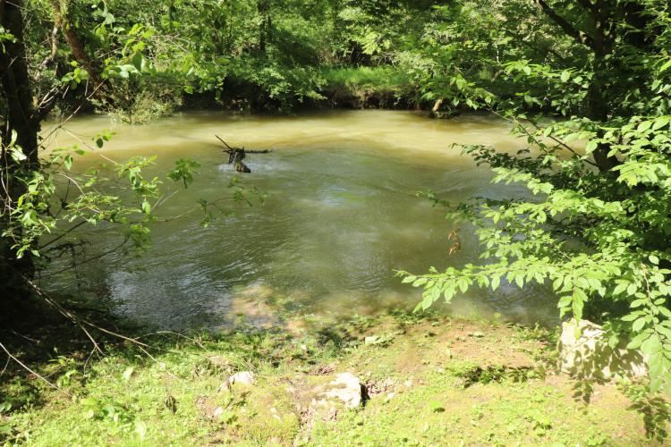 Novo istraživanje otkrilo alarmantno stanje u većini rijeka u Evropi i SAD-u