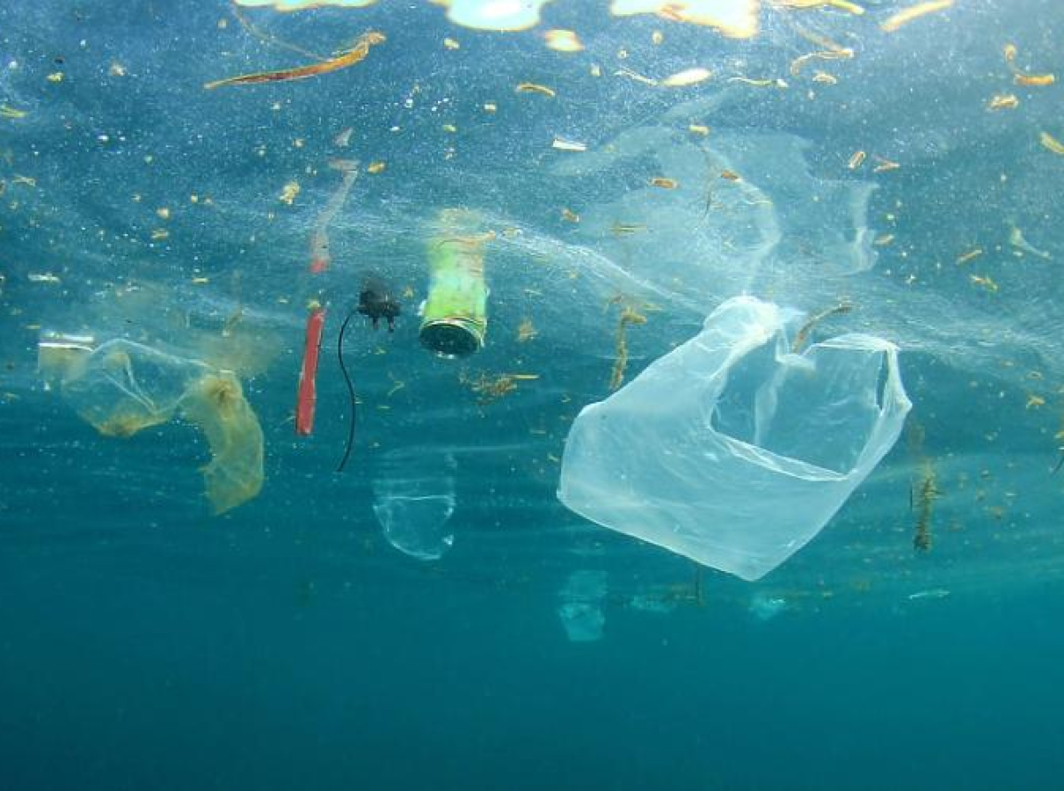 Morska bakterija "jede" plastiku koja se teško biološki razgrađuje