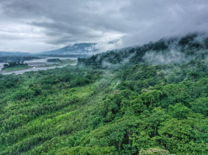 Usporena deforestacija brazilske regije Amazonije