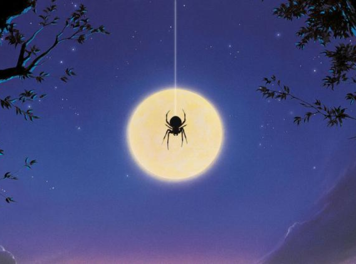 Da li je tačno da godišnje u snu progutamo osam pauka