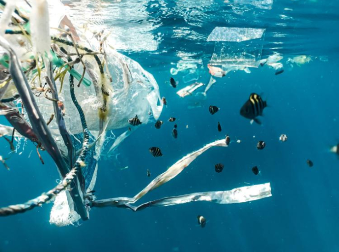 Naučnici izmislili biorazgradivi sunđer koji upija i do 90% mikroplastike u pijaćoj i morskoj vodi