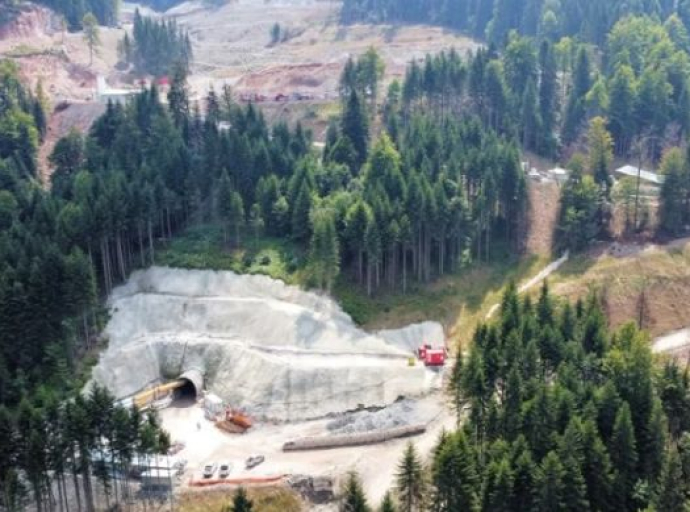 Metalni stisak Zapada i servilnost domaćina u slučaju Adriatic Metalsa