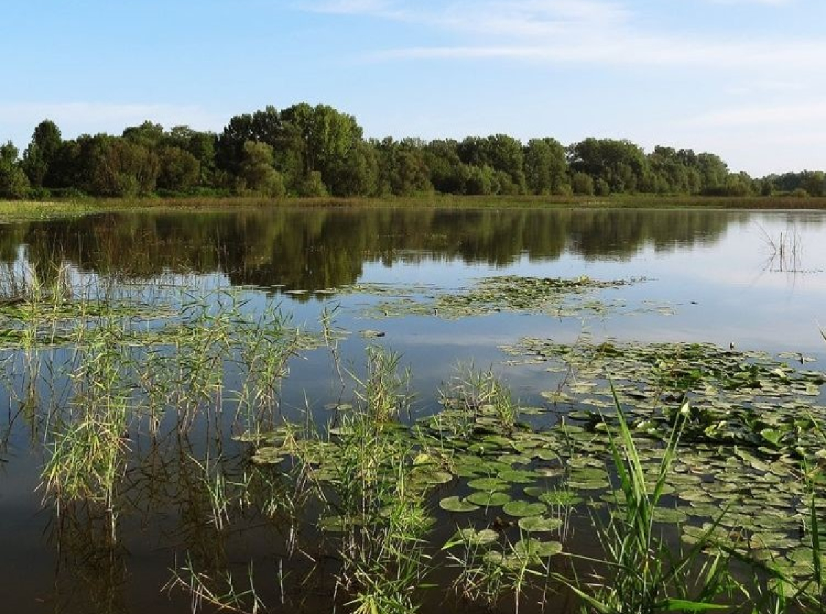 Zaštićeno stanište ''Tišina'' proglašeno za jednu od top destinacija svijeta 