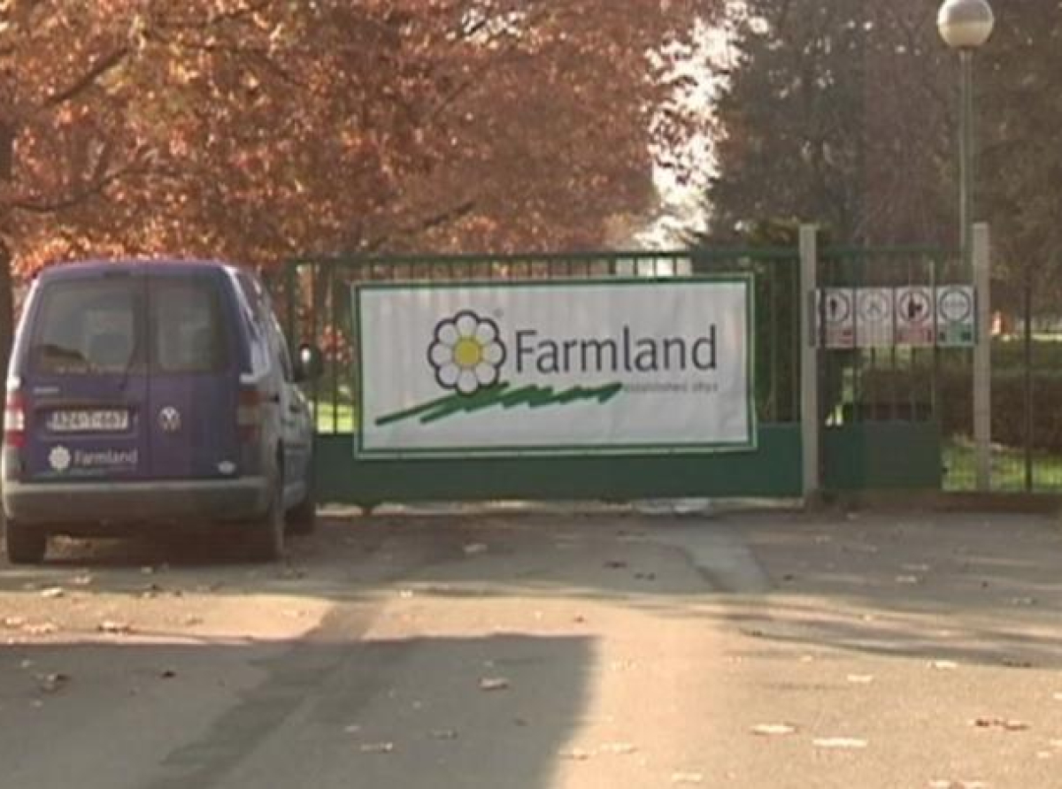 Zašto je Stevanović kupio propalu firmu "Farmland"?