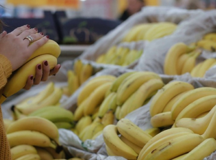 Mišljenje eksperata: Cijena banana će rasti sa klimatskim promjenama 