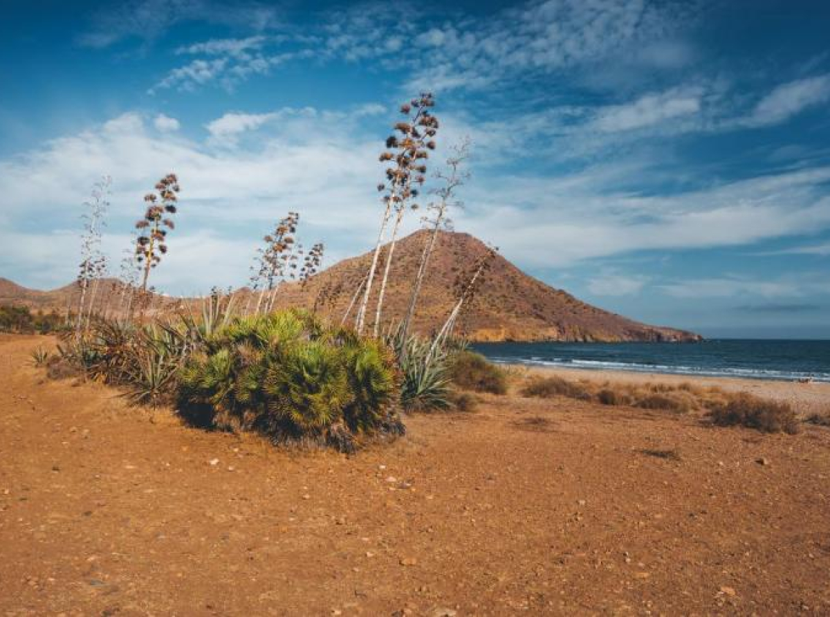 UN oglasio ‘crvenu uzbunu’ zbog klimatskih promjena