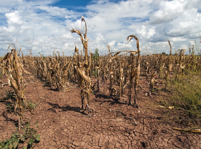 Hrana će zbog klimatskih promjena godišnje poskupljivati oko 3.2% 