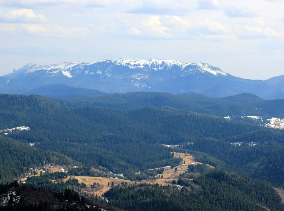 Kome nije u interesu da Jahorina postane park prirode?