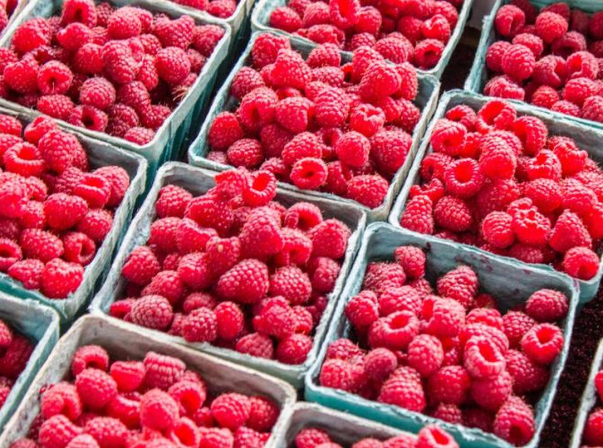 Ne isplati se prodaja malina na veliko: Cijene na štandu i do 14 KM za kilogram