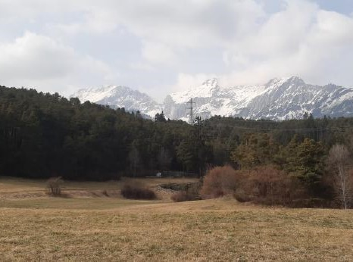 Šta je to u evropskom zakonu o životnoj sredini što plaši poljoprivrednike?