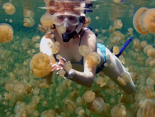 Jezero Meduza 7