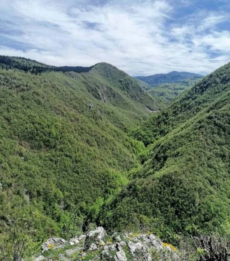Kasindolska river canyon before the construction Kasindolska rijeka prije izgradnje MHE foto Robert Oroz
