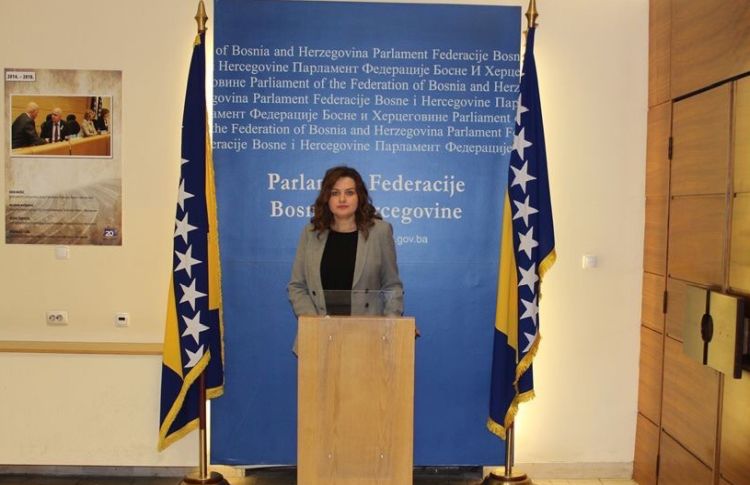 dzenana hodzic