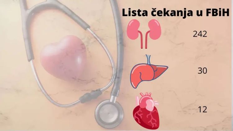 grafika11112