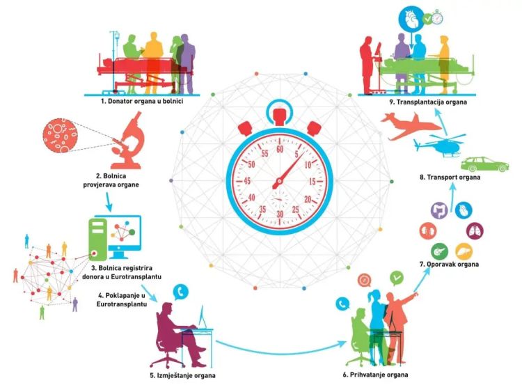 infografika 1 scaled1