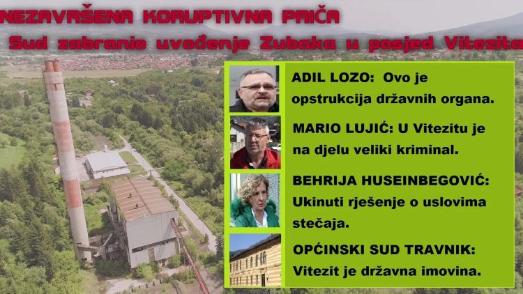 infografika Vitezit1