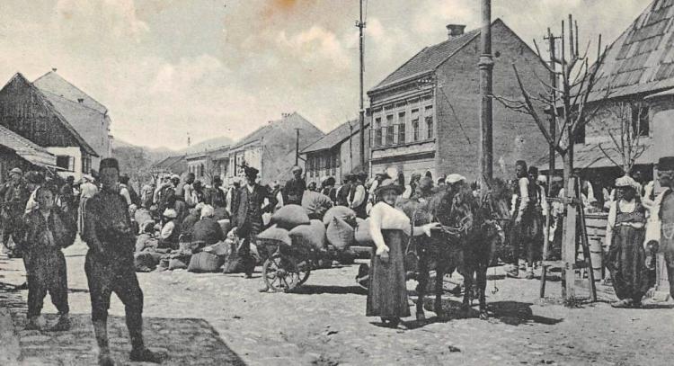 Zenica pod Austrougarskom izvor Bosnian History