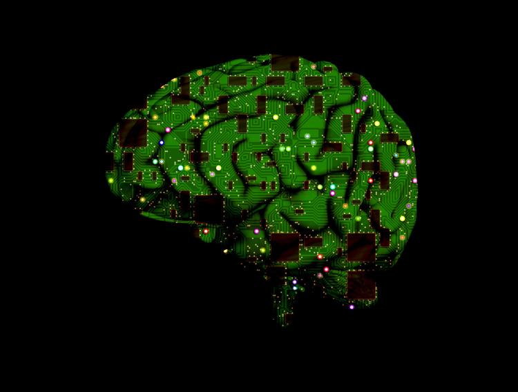 7brain