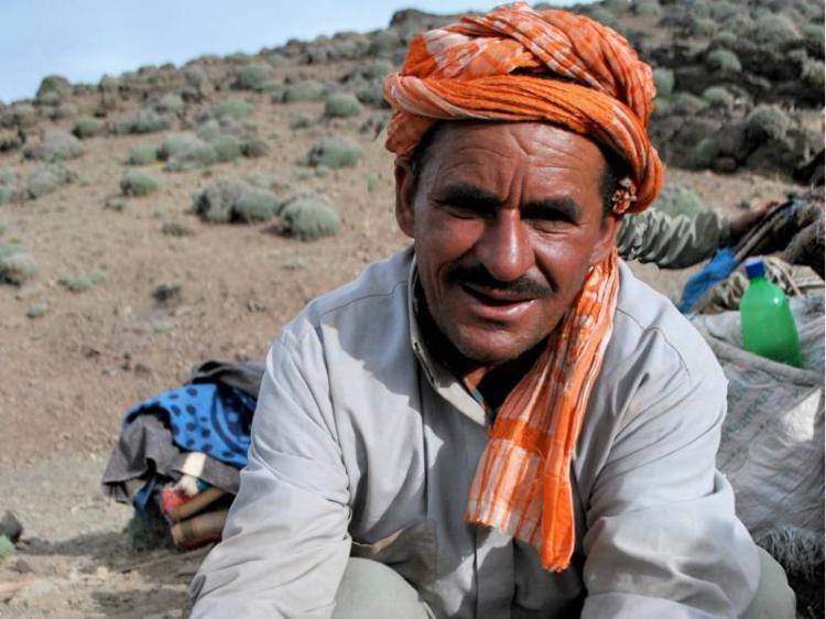 berber