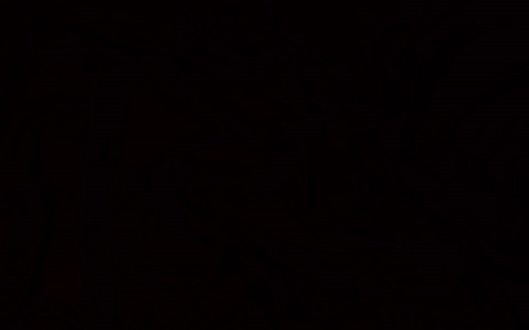 11950317 10155993081955181 2925437595737590810 o
