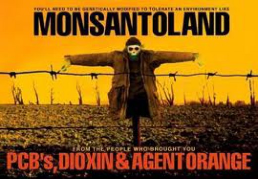 monsanto 12160.info