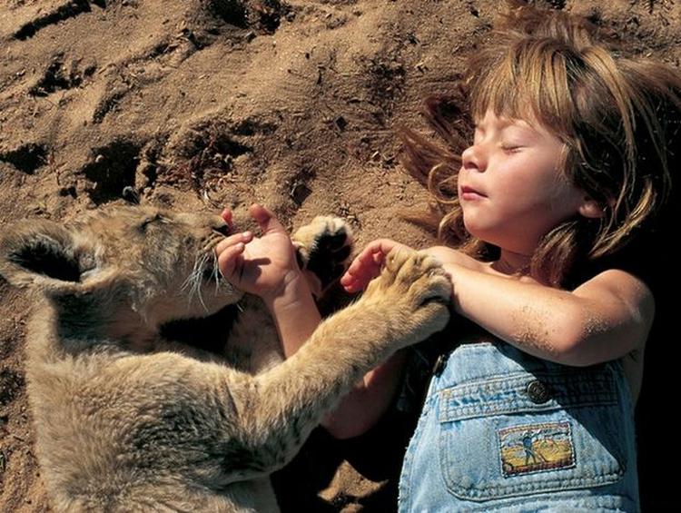 tippi2