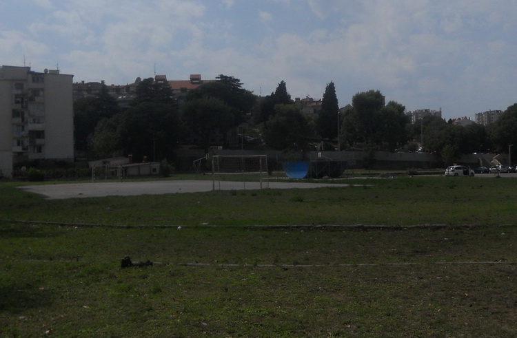 DSCN0608