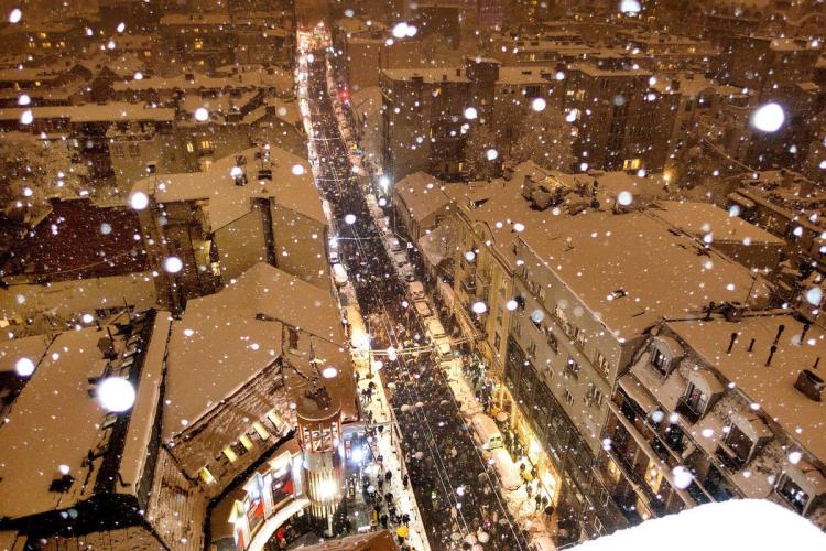 7Foto Dragoljub Zamurovic