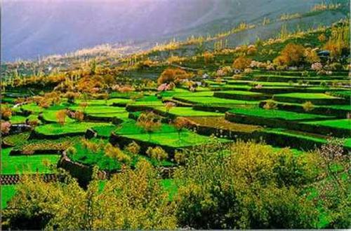 6hunza 2