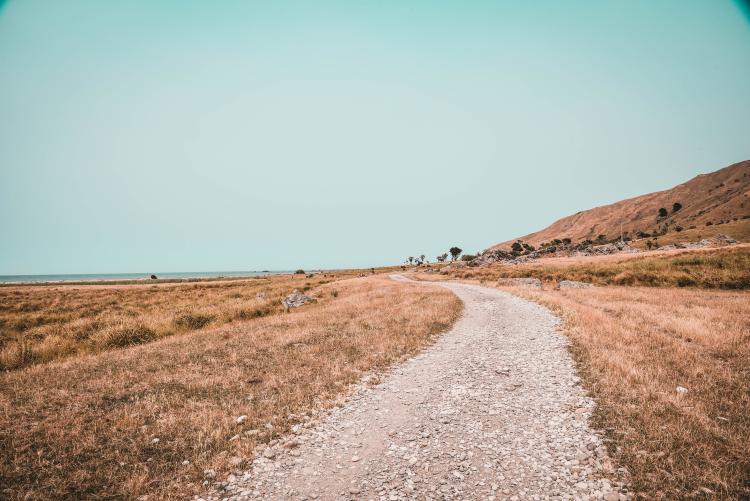put foto zane lee bQ DsukUKiU unsplash