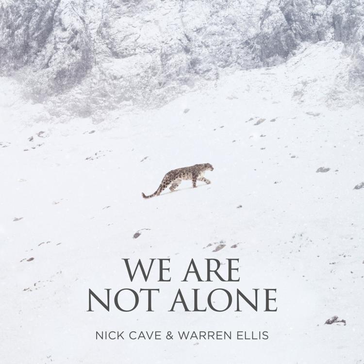we are not alone