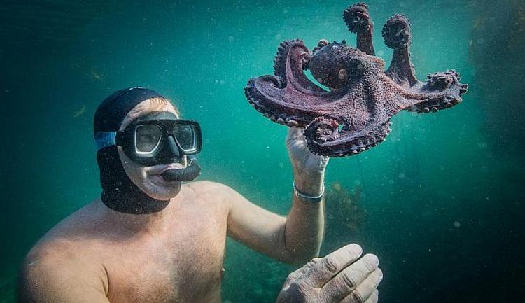 My Octopus Teacher