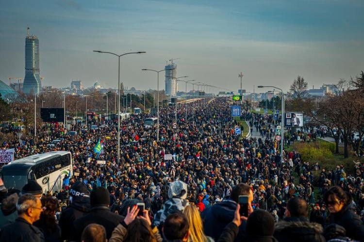 Srbija protesti Shutterstock