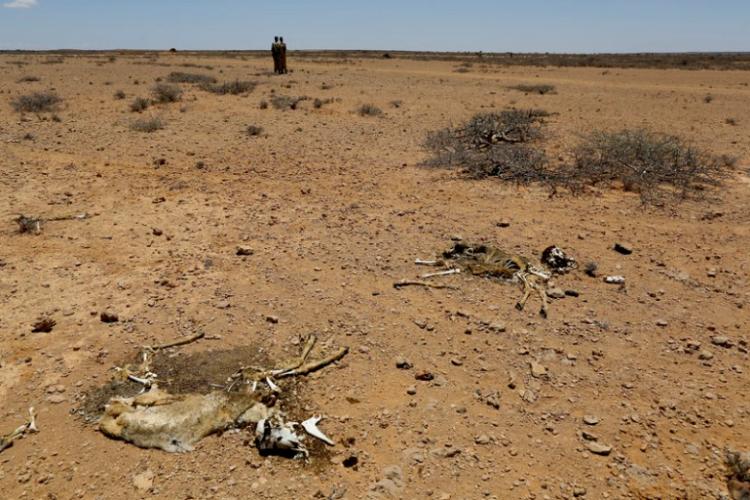 Susa u Somaliji EPA