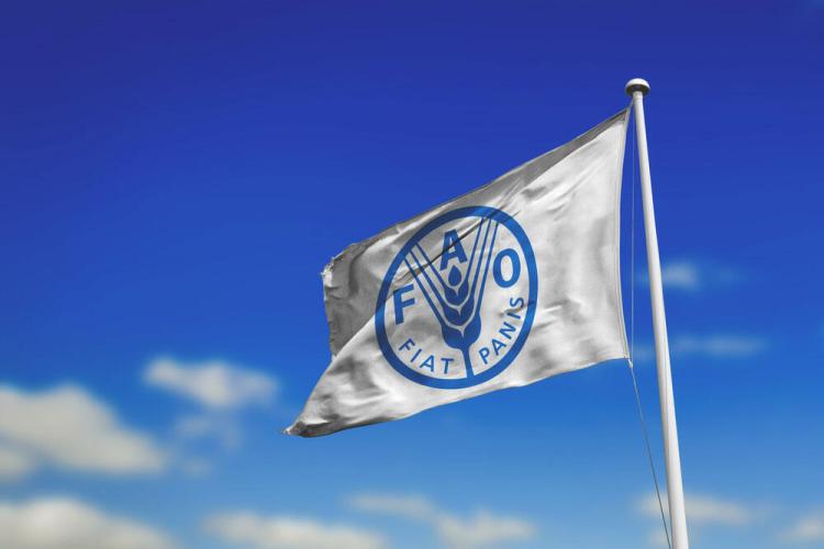 fao zastava