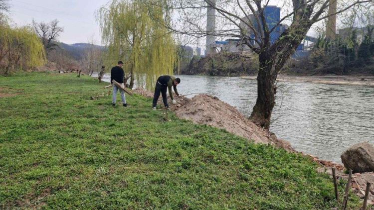 koristo bosne maglaj