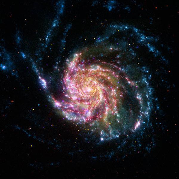 m10121