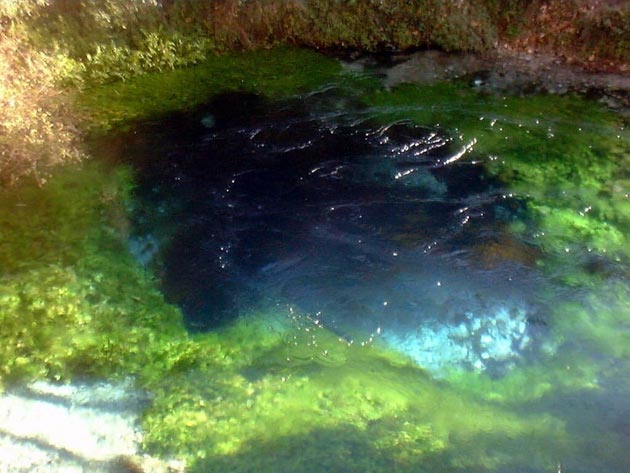 Plavo oko 6