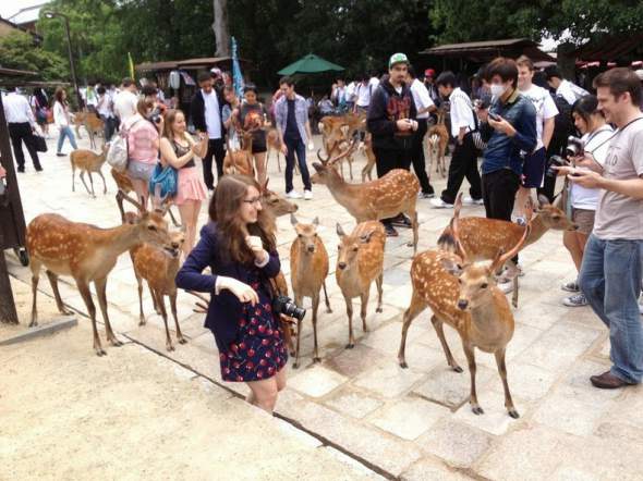 nara5