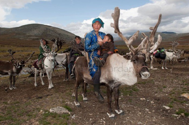 mongoli20