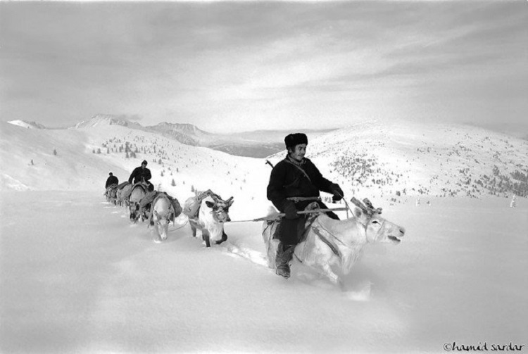 mongoli21