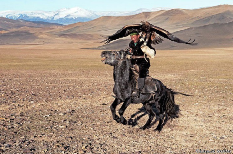mongoli7