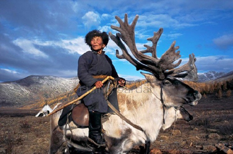mongoli8