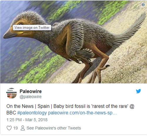 7reptili 1