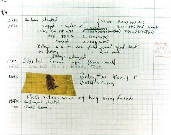 first bug 600x473