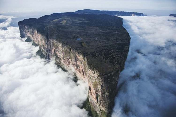 6Roraima