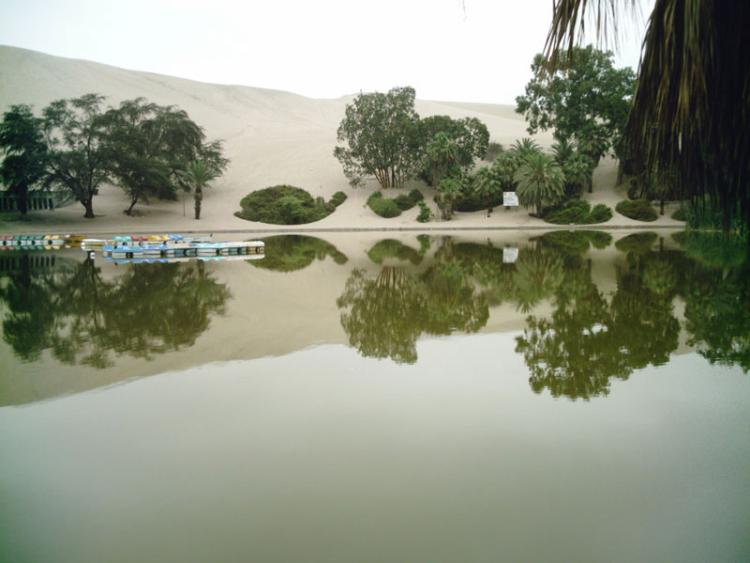 huacachina village desert oasis in peru 7