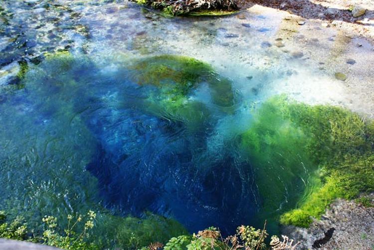 2plasvo oko 1